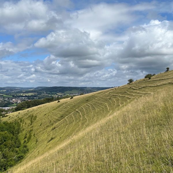 stroud
