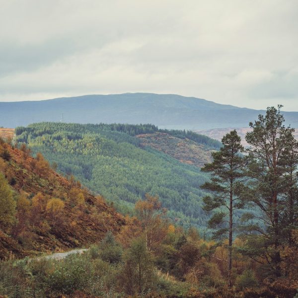 anna-saveleva-JPZY4Rmle1o-unsplash