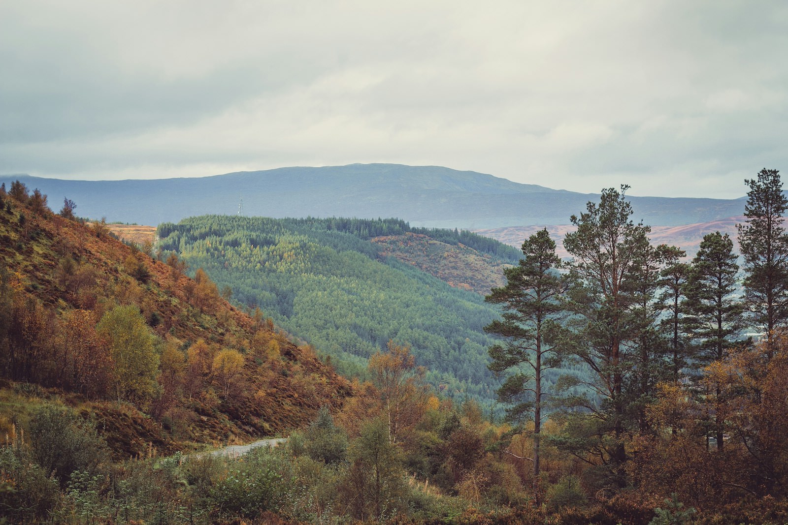 anna-saveleva-JPZY4Rmle1o-unsplash
