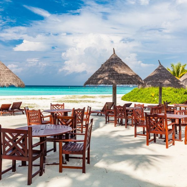 Tropical beach in Maldives with palm trees and vibrant lagoon