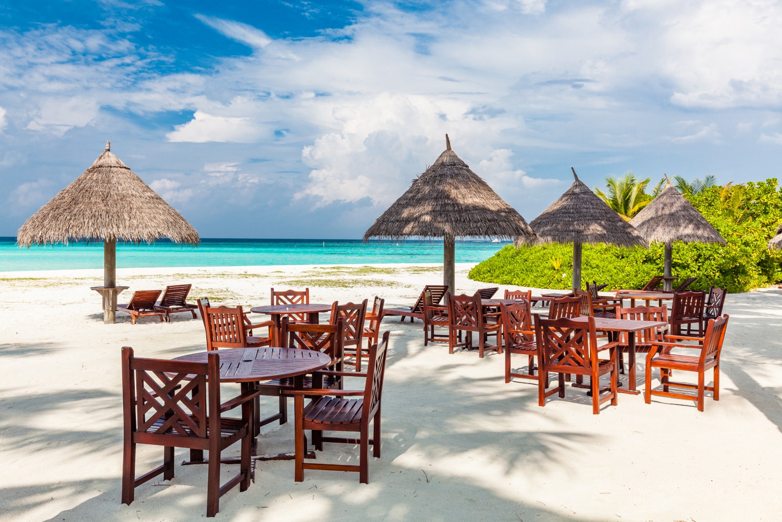 Tropical beach in Maldives with palm trees and vibrant lagoon